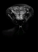 Guest_sza839073