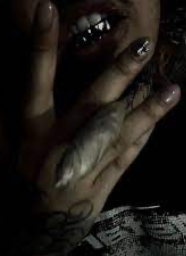 avpic