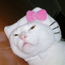 Guest_Kitttyyyy