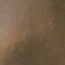 Guest_Tayvon664961