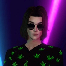 Guest_Shellac420