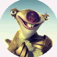 avpic