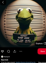 Guest_Exclusiveblueyy