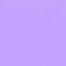 Guest_Moree737495