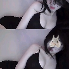 Guest_acacilla