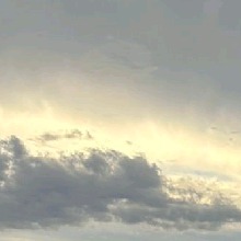 Guest_Alexander148630