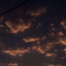Guest_Emmi23