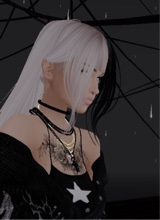 Guest_Hikari487230