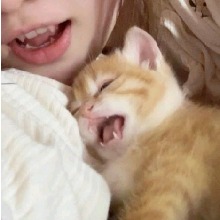 Guest_Monka6