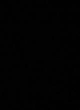 foto del avatar