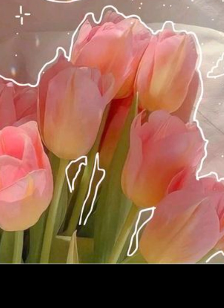 Guest_susana1231