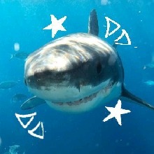 Guest_KINGOFTHESHARKZ