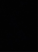 Guest_kash331062
