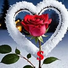 Guest_Casey143917