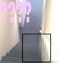 Guest_Shathah