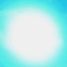 Guest_Sara818309