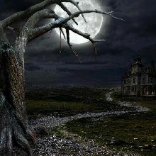 Guest_Vampi6
