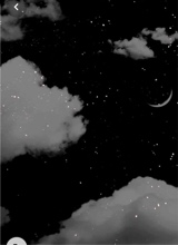 Guest_jaden398
