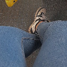 Guest_MilyCarzygirl20