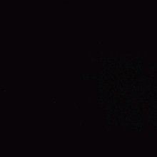 Guest_Samantha803095