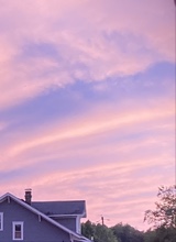 Guest_Dawnn11