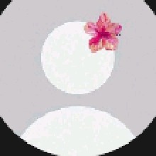 Guest_Sofia165983