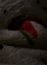 Guest_zoeeee14