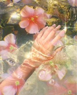 Guest_Barbi3d0LLz