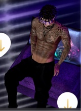 Guest_jay698378