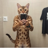 Guest_MarceloPR