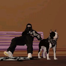 Guest_Cbass1