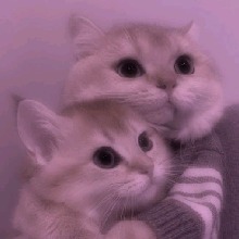 Guest_jhilaryszaragozagmai