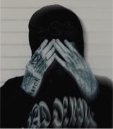 GVN333