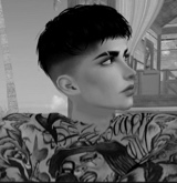 Guest_Flako803639