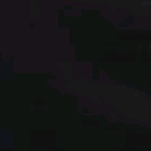 Guest_Aycel1