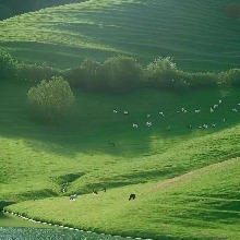 Guest_twilightwish