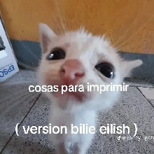 Guest_Sad696490