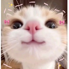 Guest_Burbuja4