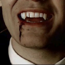 Guest_StefanSalvatore13