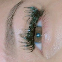 Guest_iris382043
