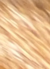 Guest_Jaylienbby
