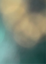 Guest_sam677558