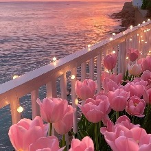 Guest_Laurita257510