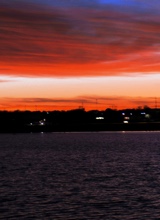 صورة الـavatar