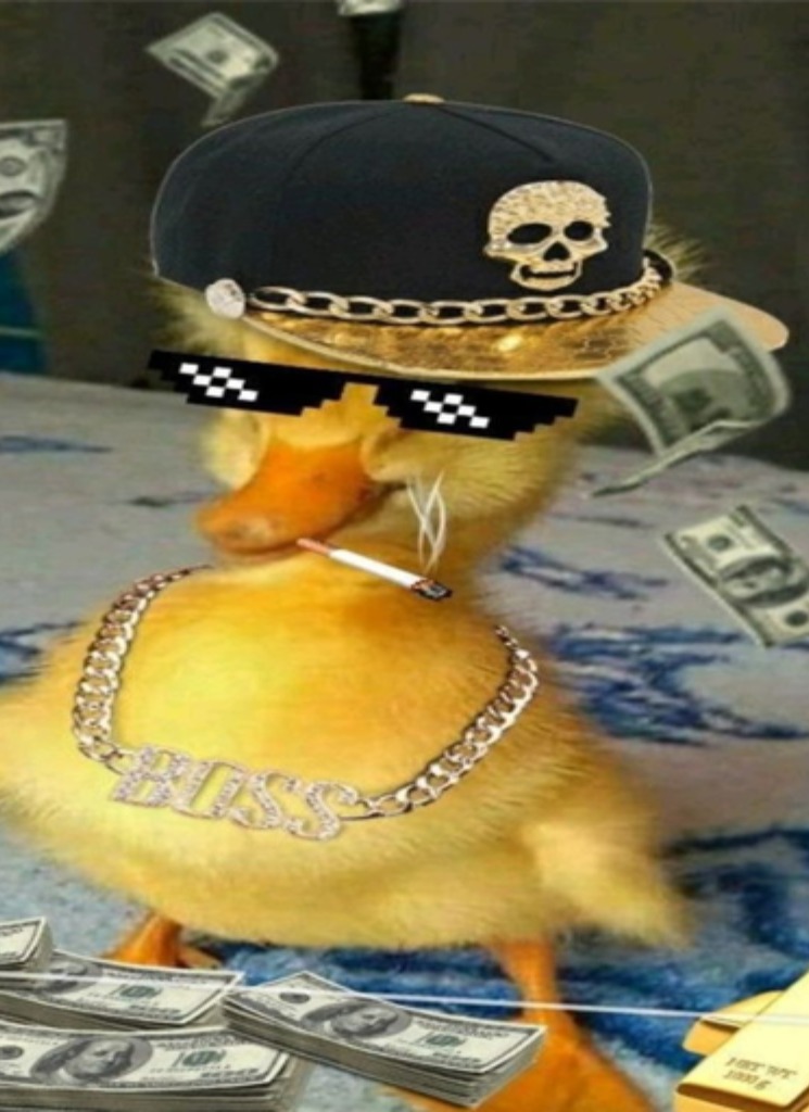 Guest_normios