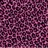 Guest_LealeaGirl102