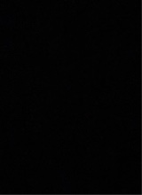 Guest_DamienSmith3