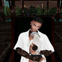 knightPhoenixWolf666
