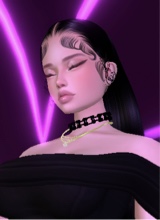 Guest_FER122617