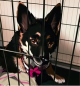 Guest_athena764011